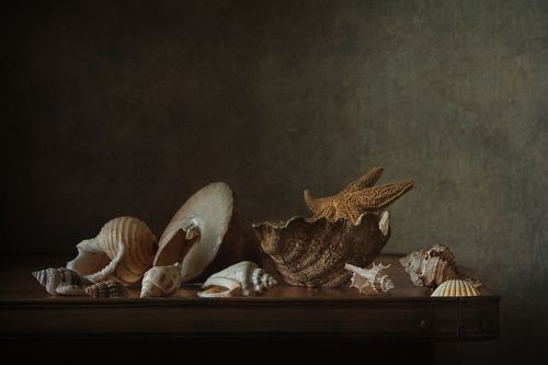 Звёздочка в ракушках