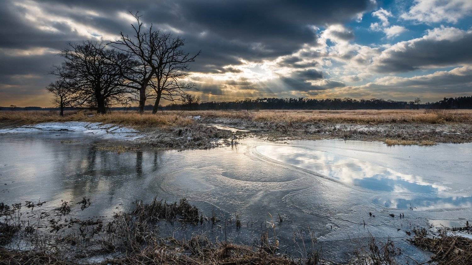 , Maciej Werbliński