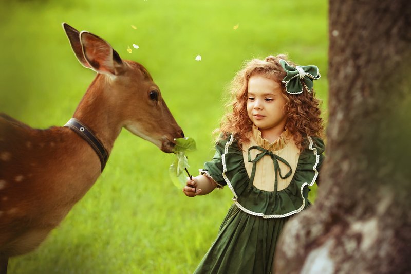 фото превью