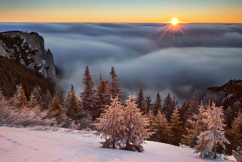 mountain, winter, landscape, travel, nature, romania, colors, ceahlau, fog, sunrise, cold Golden Morning фото превью
