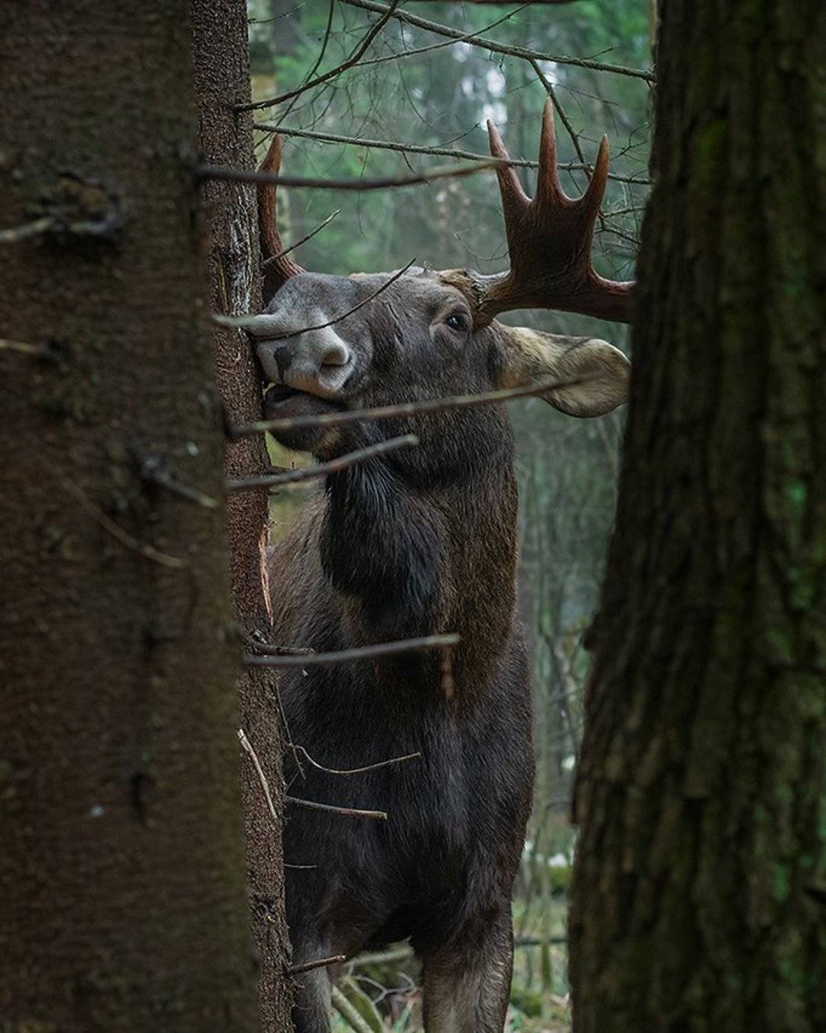 , Валерий Субачев