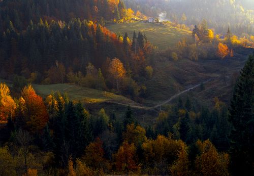 Autumn foliage trees in the mountains. Meadow with haystack and forest in the Carpathian mountains Fuji Velvia film