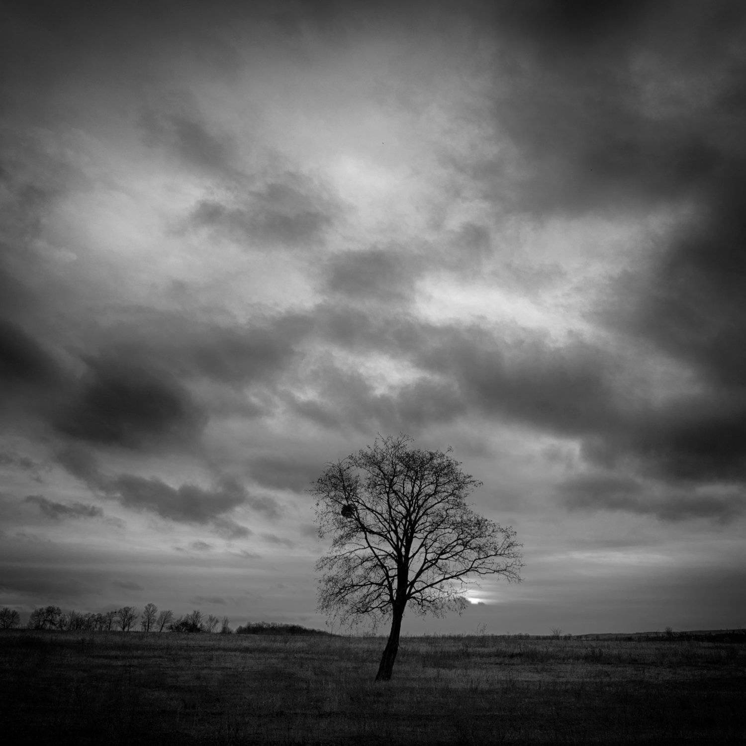 sunset hdr, Чистаев Александр