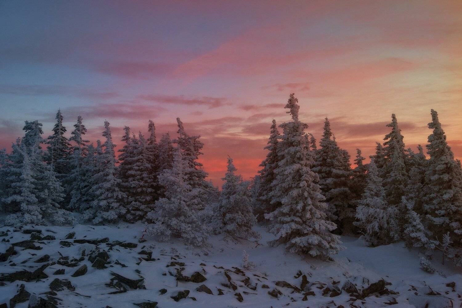 , Андрей Шарапов