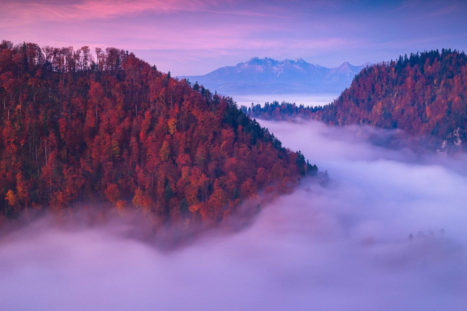 pieniny,tatry,polska,national,park,poland,rydzewski,35photo,award, 6d,canon,mgły,fog,autumn,fall,landscape,krajobraz,, Marcin Rydzewski