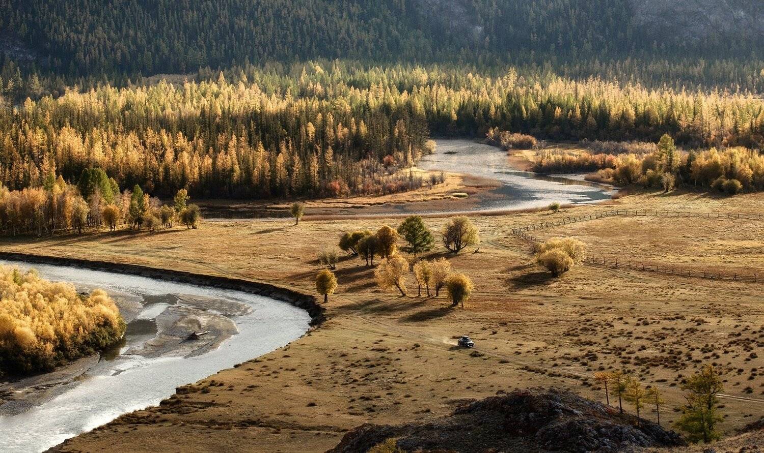 алтай, осень, вечер., Марина Фомина