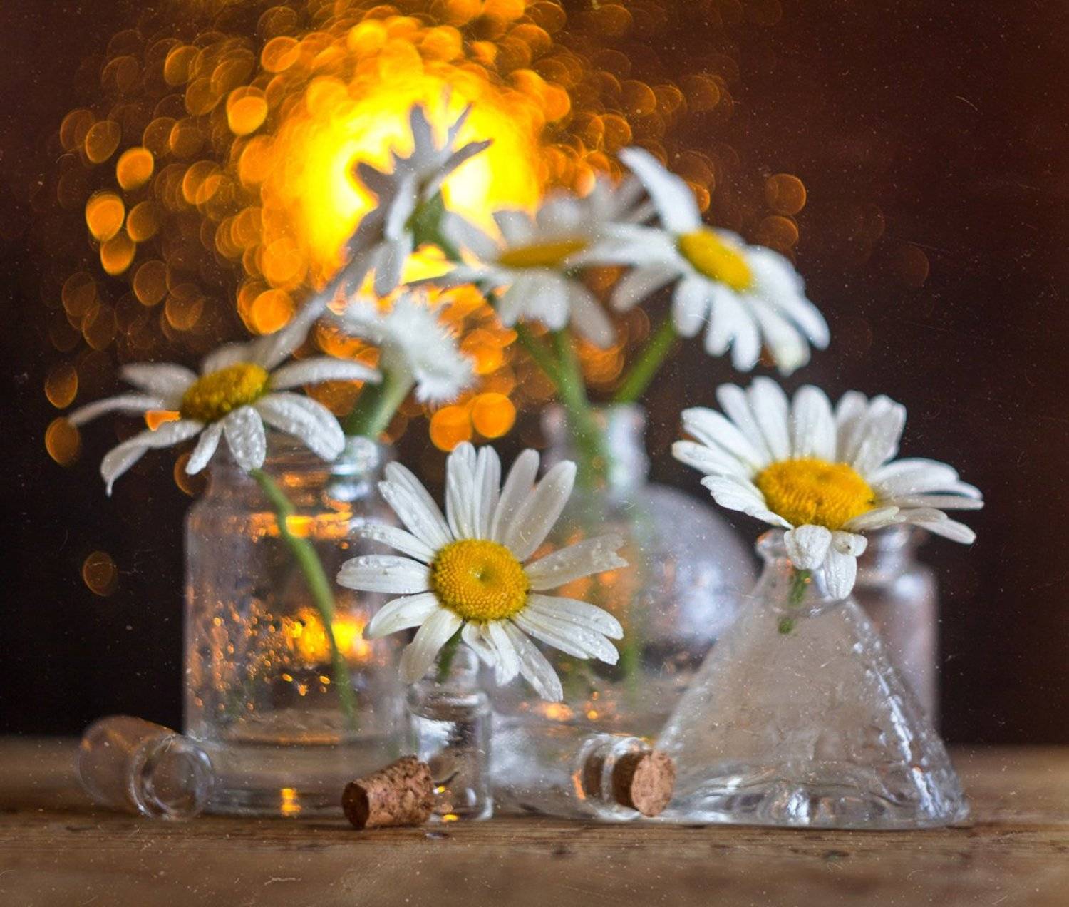 ромашки, натюрморт, боке, цветы, брызги, вода, закат, солнце, бутылки, банки, стекло, красивый, лето, still life, Алла Семенова