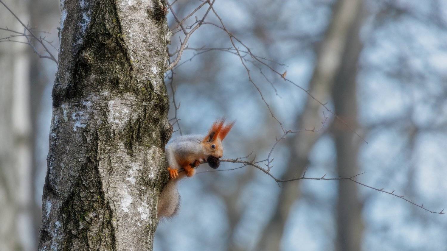 , Alexander Plekhanov