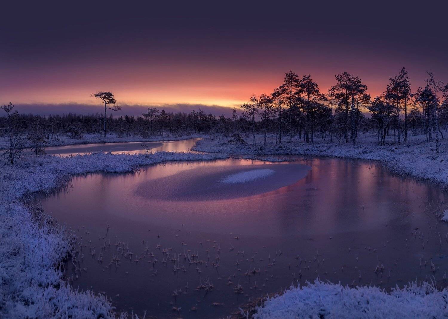 болото, кайф, рассвет ,север ,солнце, свет, закат, облака, отражение, фототур, Павел Ващенков