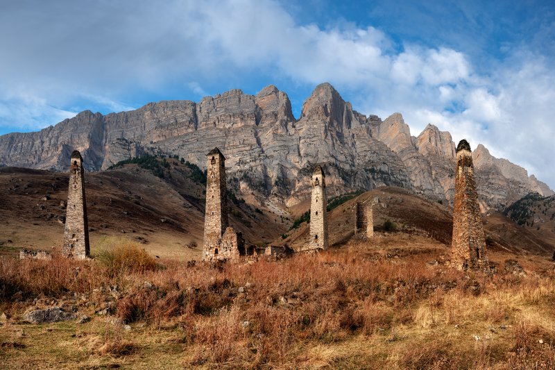 Башенный комплекс Ний фото превью