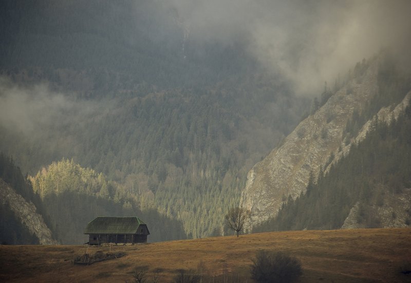 landscape beautiful autumn fog tree photography comsa bogdan   Late autumn фото превью
