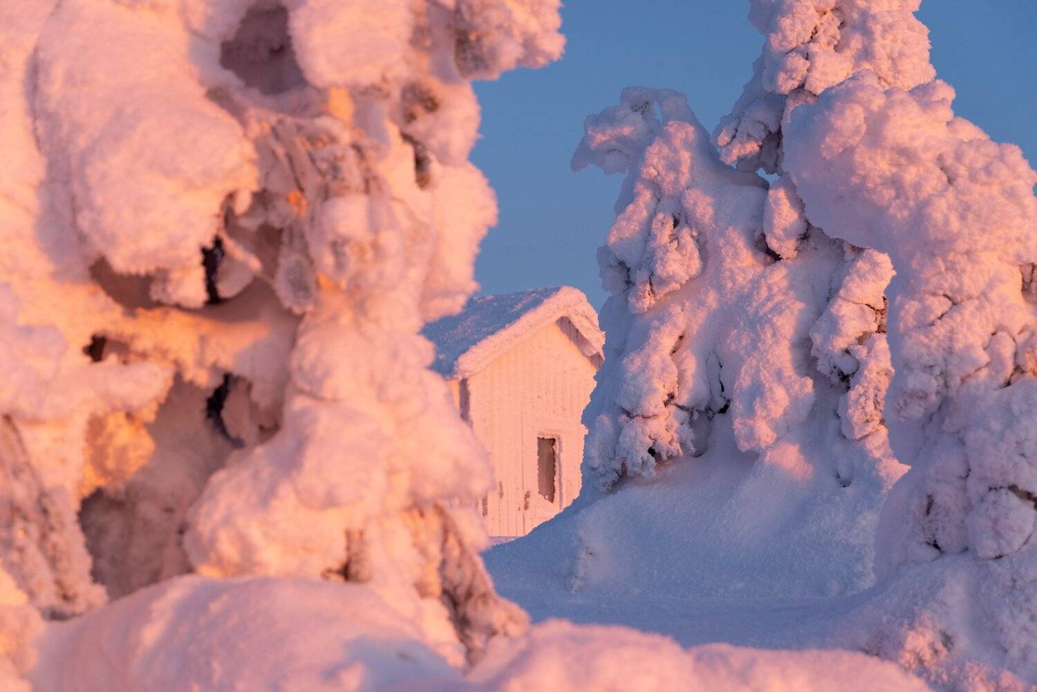 финляндия, лапландия, Исаков Дмитрий