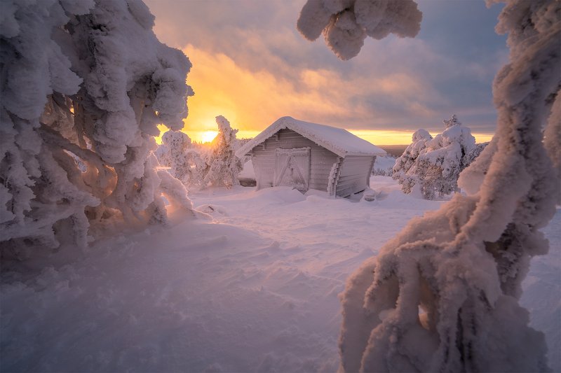 Заиндевелая красота фото превью