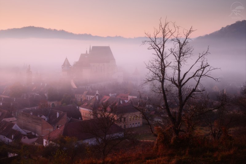 пейзаж, природа, горы, карпаты, румыния, трансильвания, осень, пастораль, фототур в румынию, туман, крепость За тонкой вуалью тумана фото превью