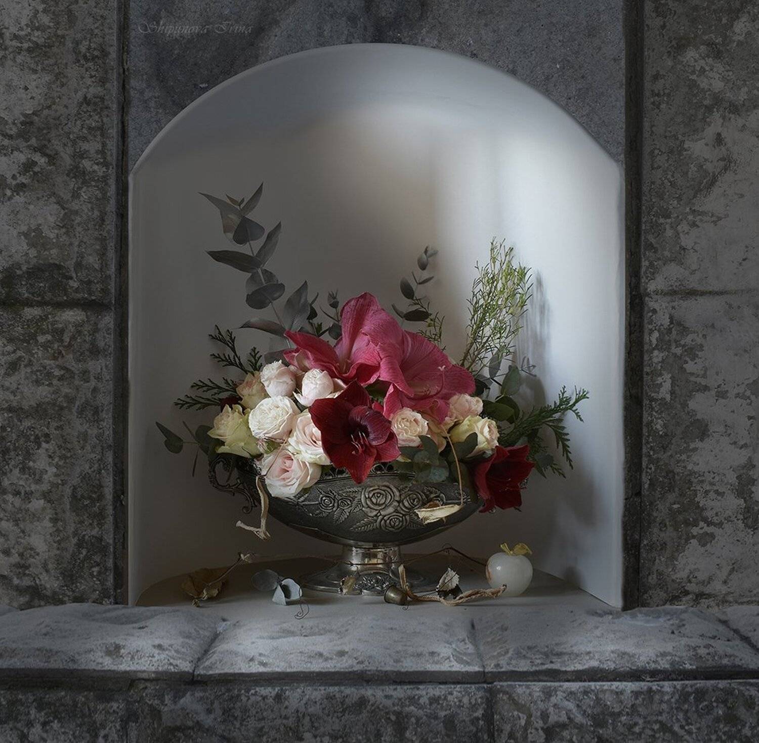 , Шипунова Ирина