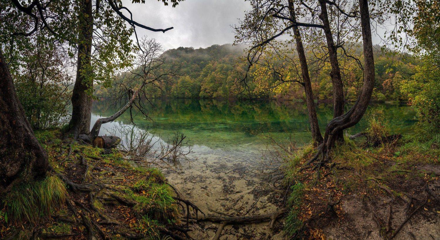 , Евгений Мерсон