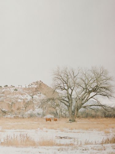Somewhere in New Mexico