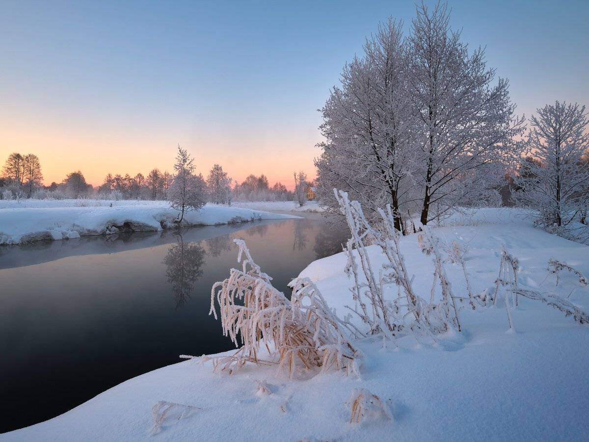 , Григорий Бельцев