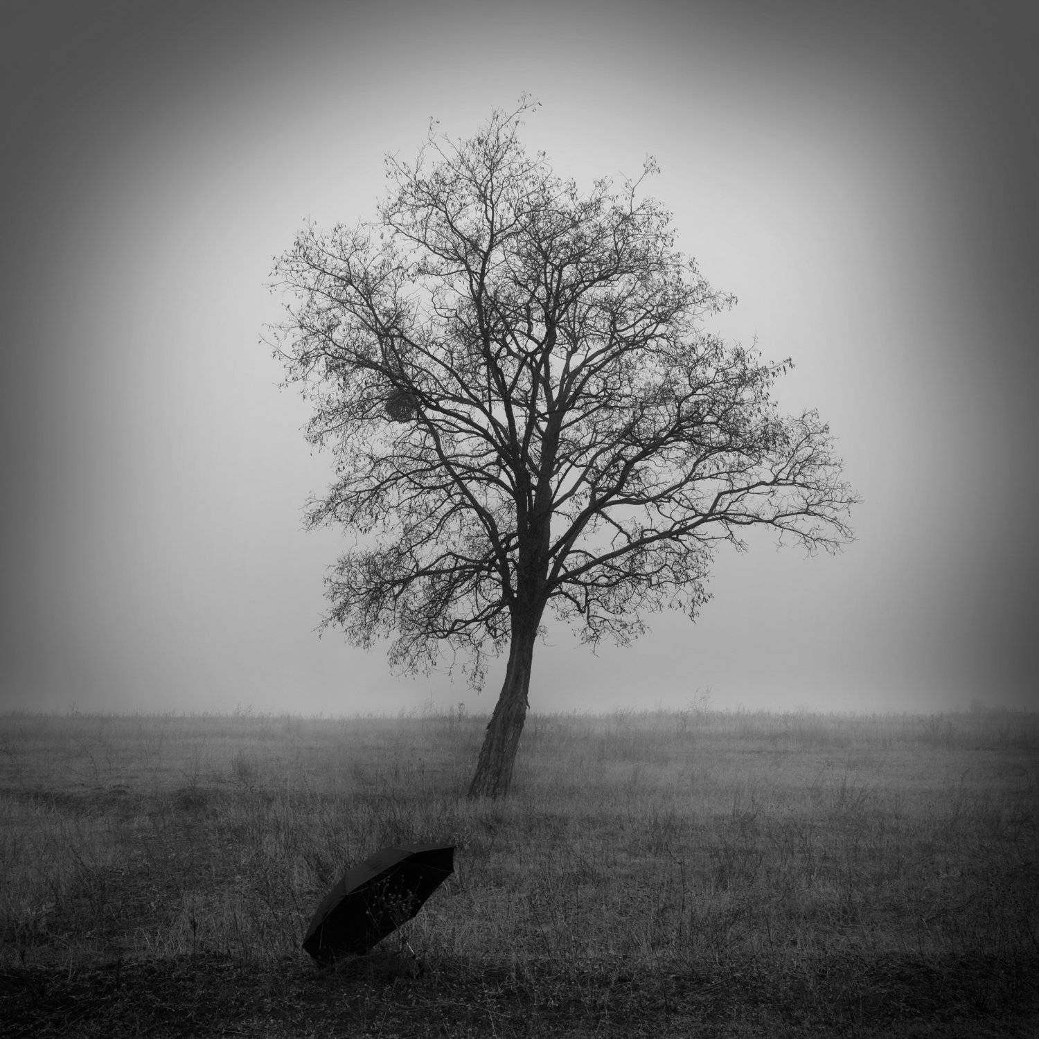 , Чистаев Александр