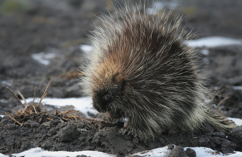 Это не я фото превью