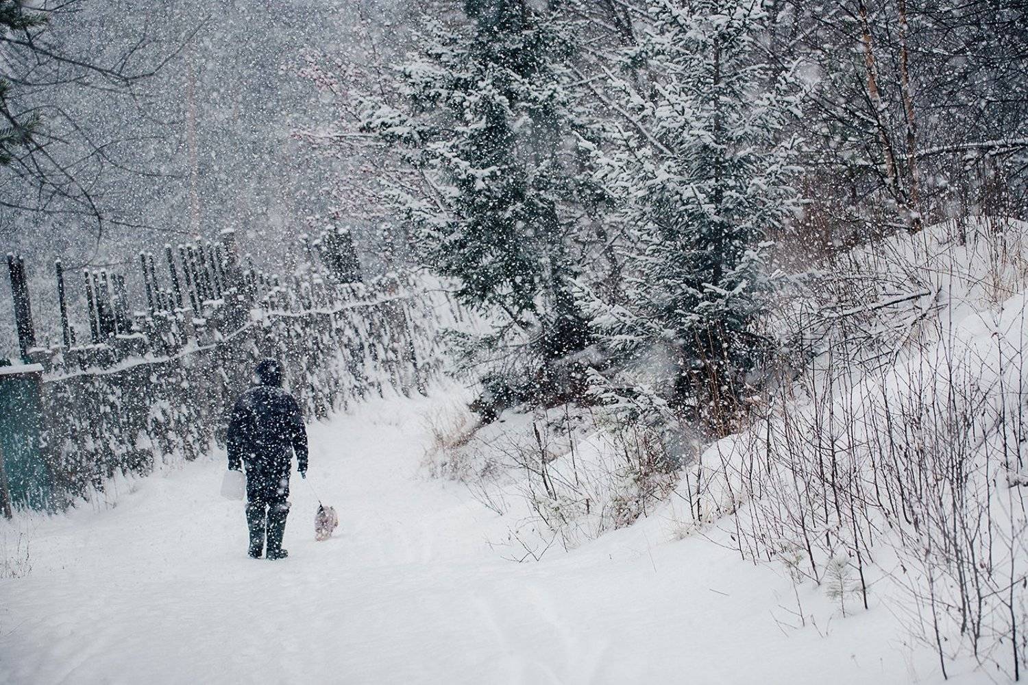 зима, снегопад, лес, природа, урал, златоуст, Евгений Толкачёв