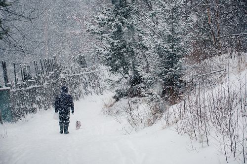 Снежная прогулка