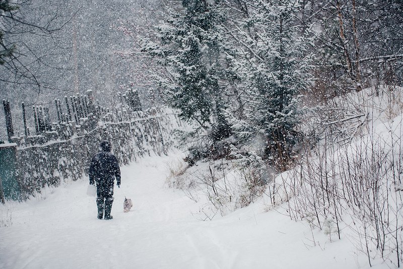 зима, снегопад, лес, природа, урал, златоуст Снежная прогулка фото превью