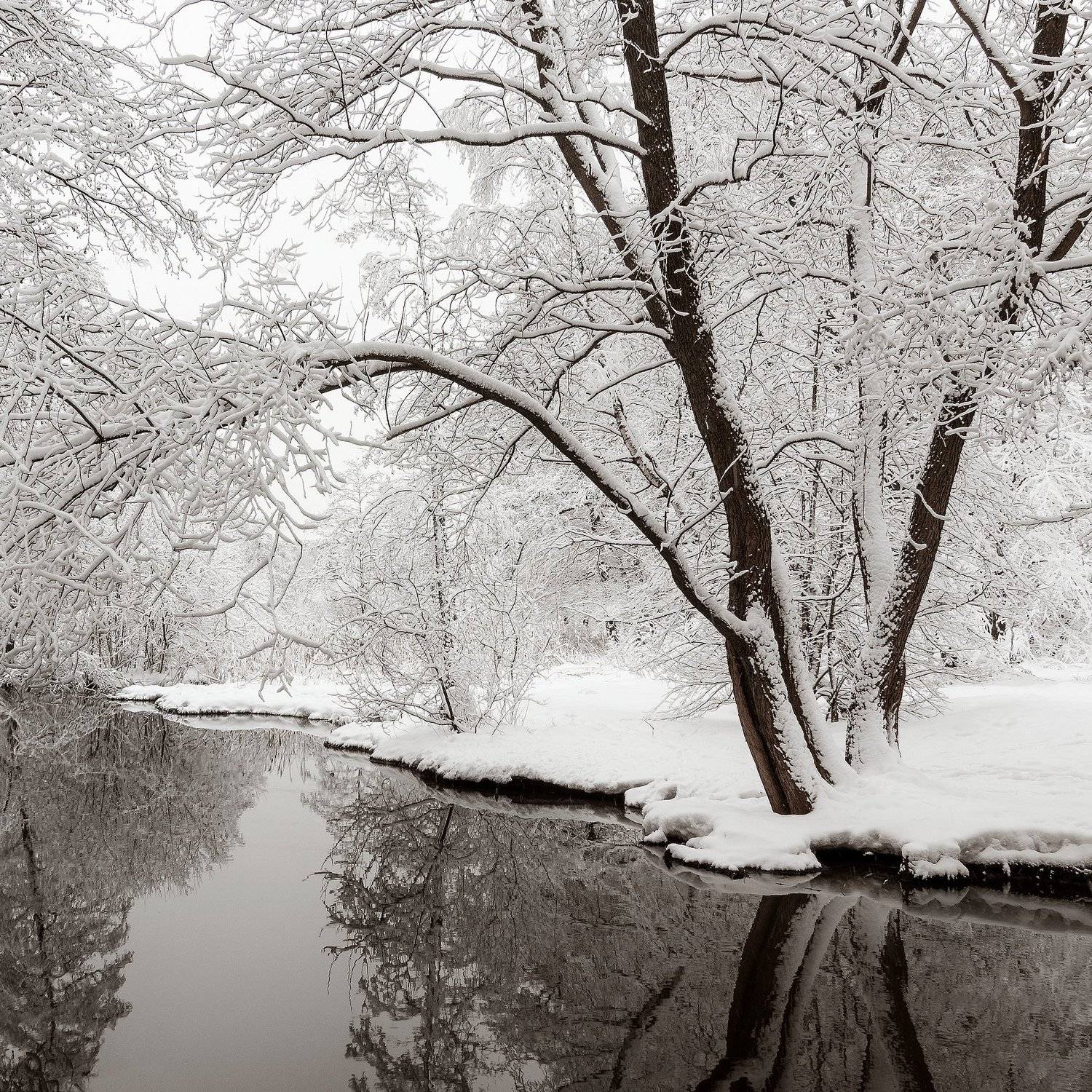 , Сергей Давыдов