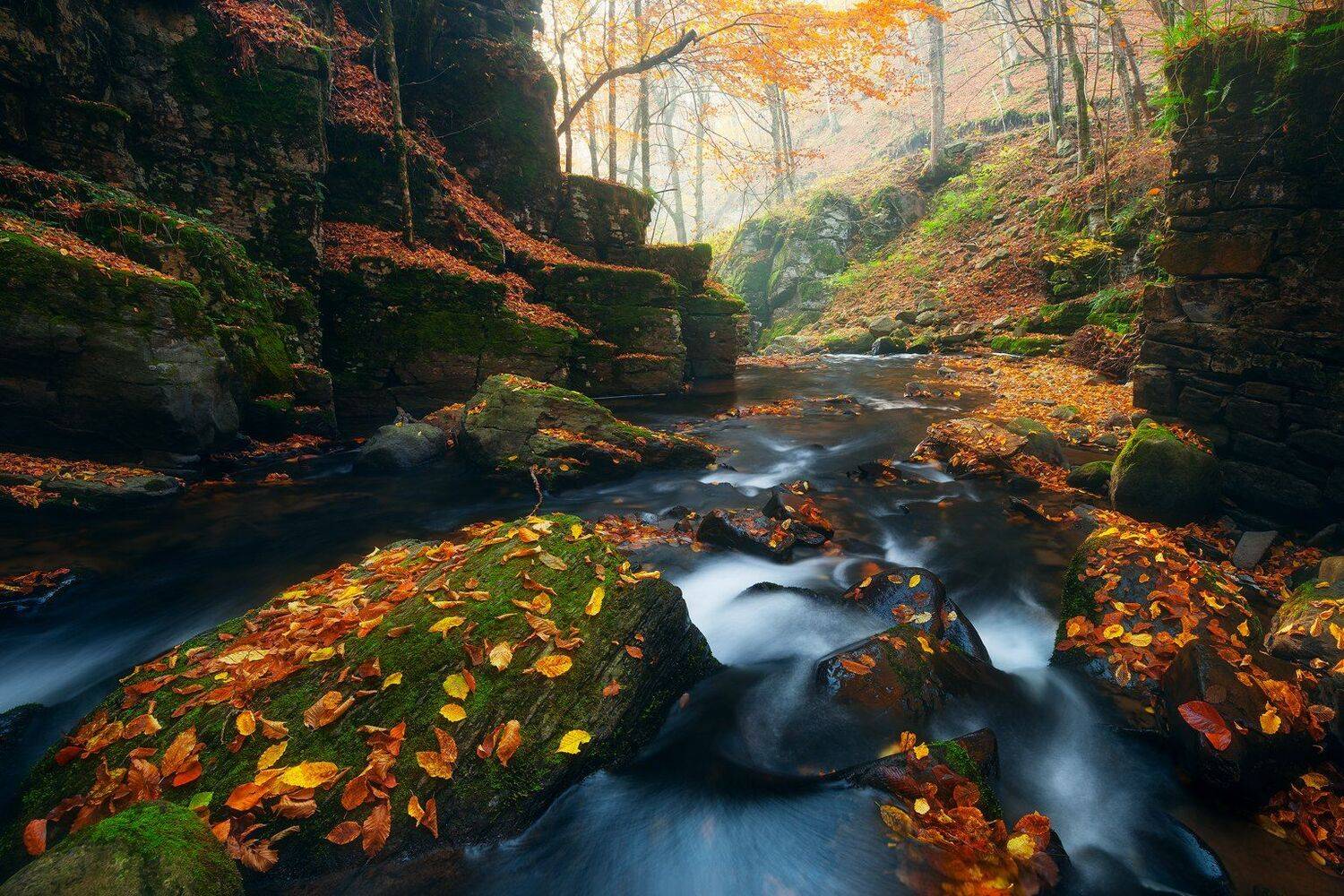 , Szabo Zsolt Andras