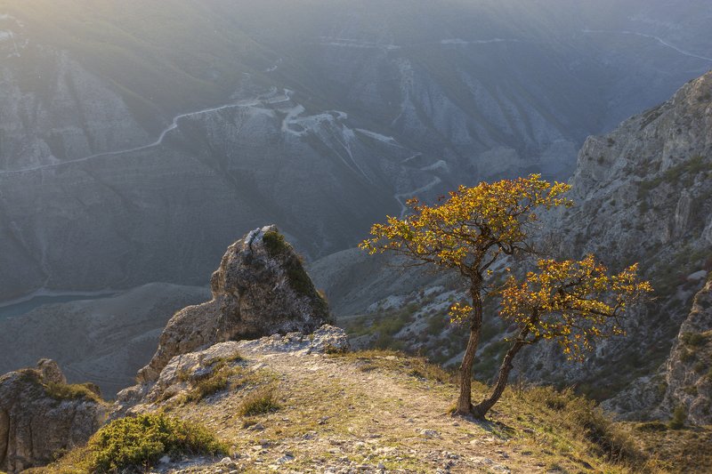 Над Сулакским каньоном фото превью