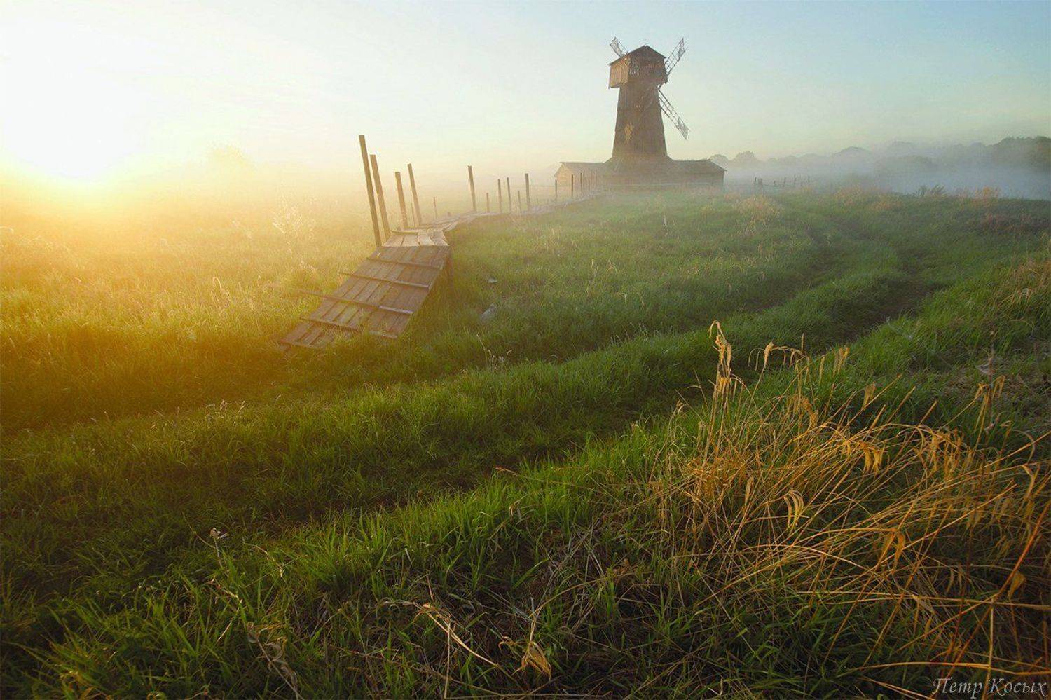 , Петр Косых