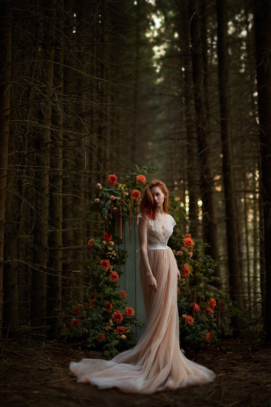 ... фото превью