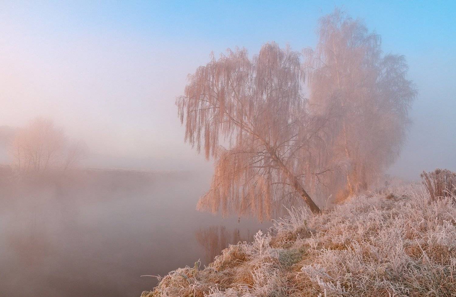 утро, свислочь, туман, иней, мороз, Александр Гвоздь
