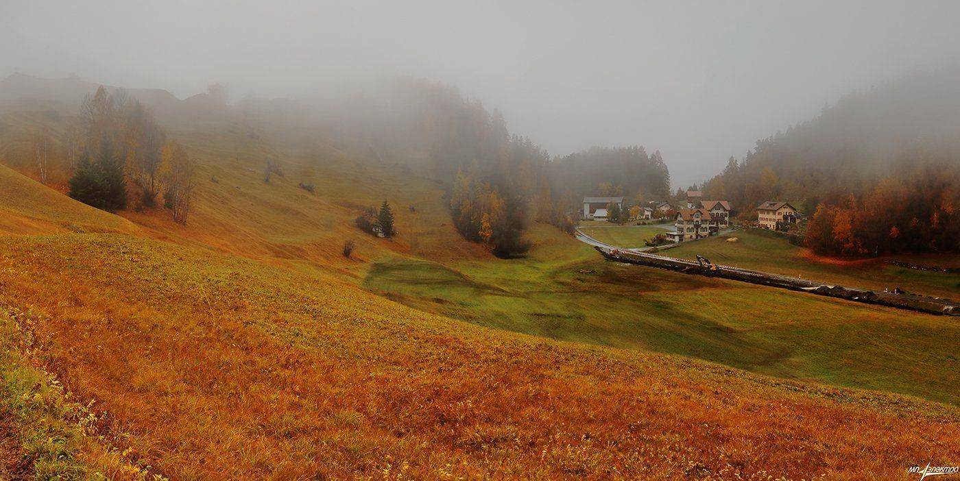 swiss, Матвеев Николай