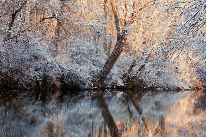 Морозным утром фото превью