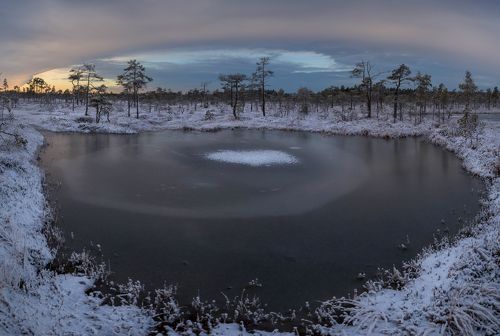 Болотная фактура