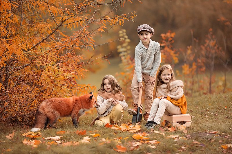 фотопрогулка, детская фотосессия, осень, дети, детская фотосессия, детский фотограф, фотосессия, радость, девочки, мальчики, счастье, детский и семейный фотограф, детское фото, дети на фото, детки, фотоистория, друзья, восторг В поисках клада... фото превью
