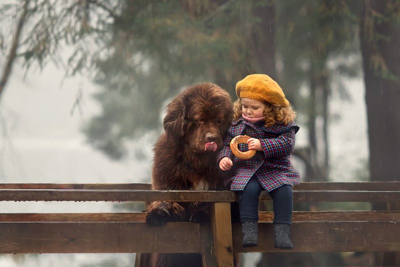 Бублик бушь? фото превью