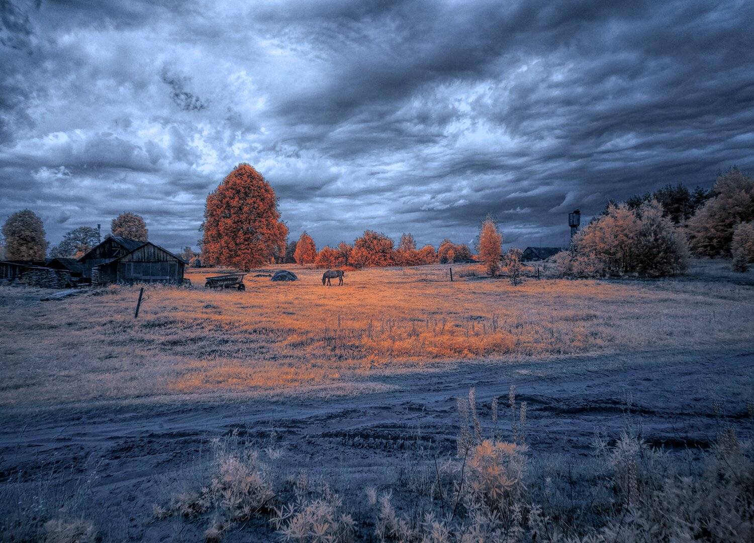 infrared,ик-фото,инфракрасное фото, инфракрасная фотография, пейзаж, лето, Sixten ( Сергей )