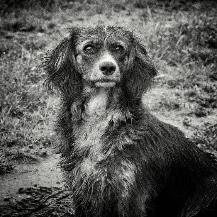 , Сергей Фудиненко