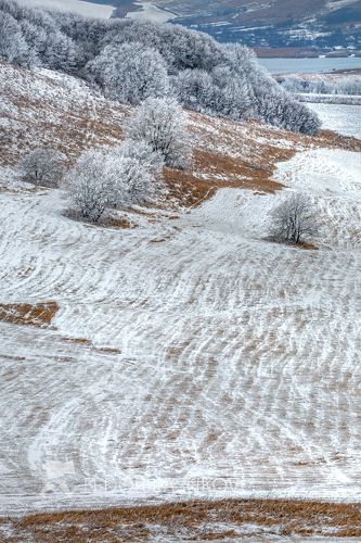 Серия «Графика зимы»