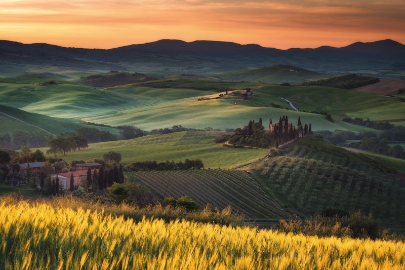 #tuscany #italy #landscapephotography #tuscanyworkshop #photographyworkshop #valdorcia Sunrise at green fields in Tuscany фото превью