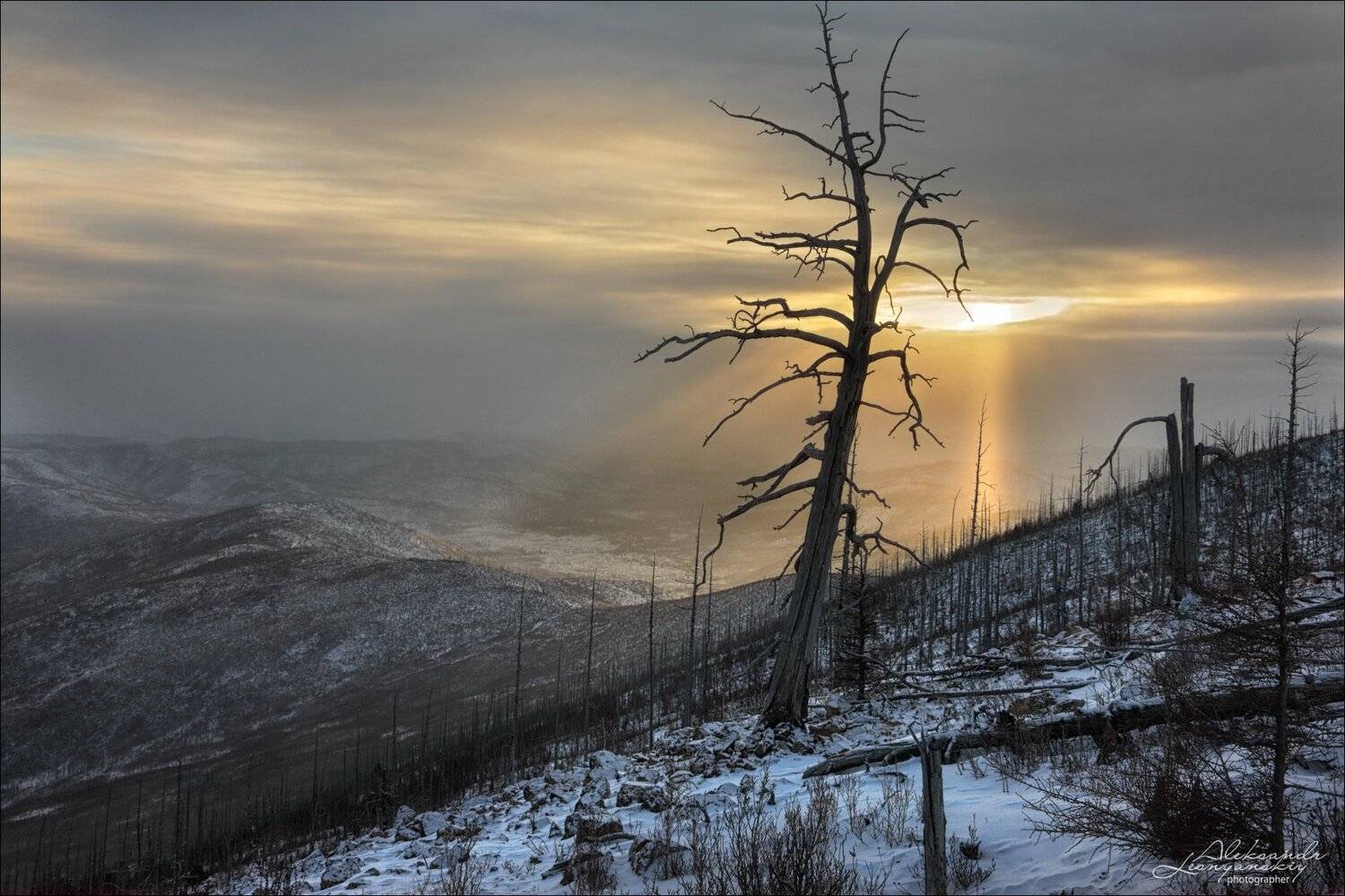 забайкальский край, Александр Леснянский