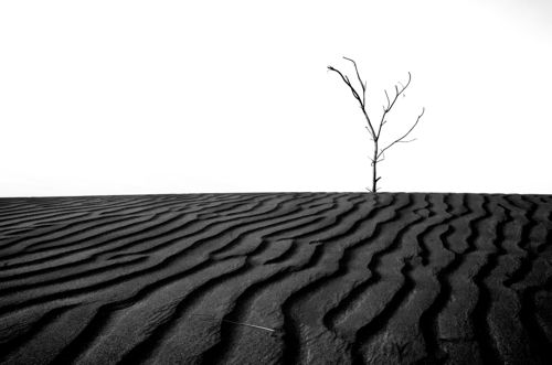 Alone waiting for you