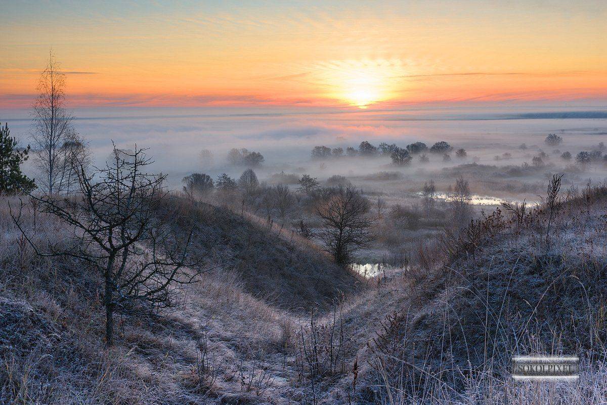 , Андрей Cоколов