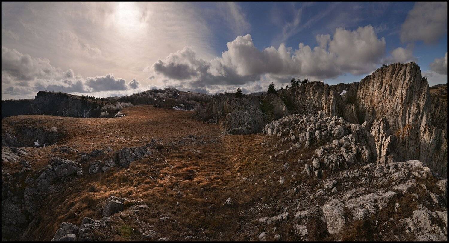 , Владимир Метцгер