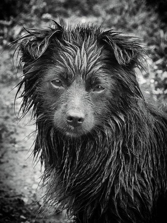 , Сергей Фудиненко