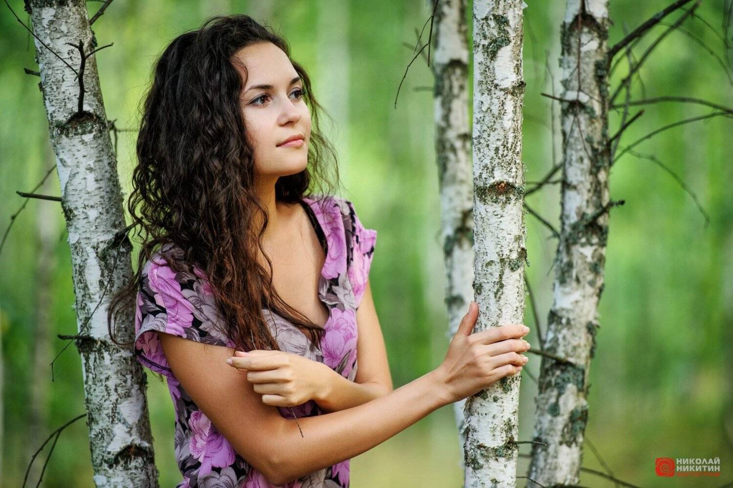 , Никитин Николай