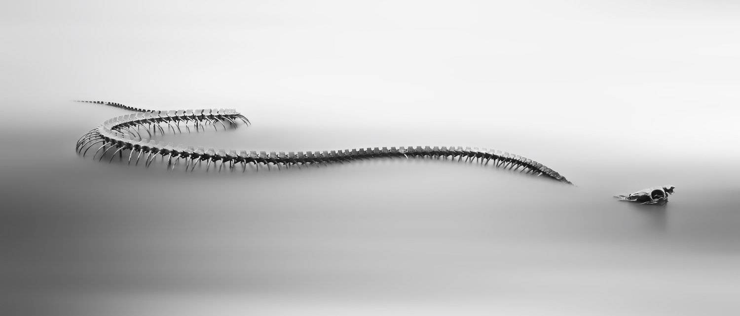 , Эдуард Горобец