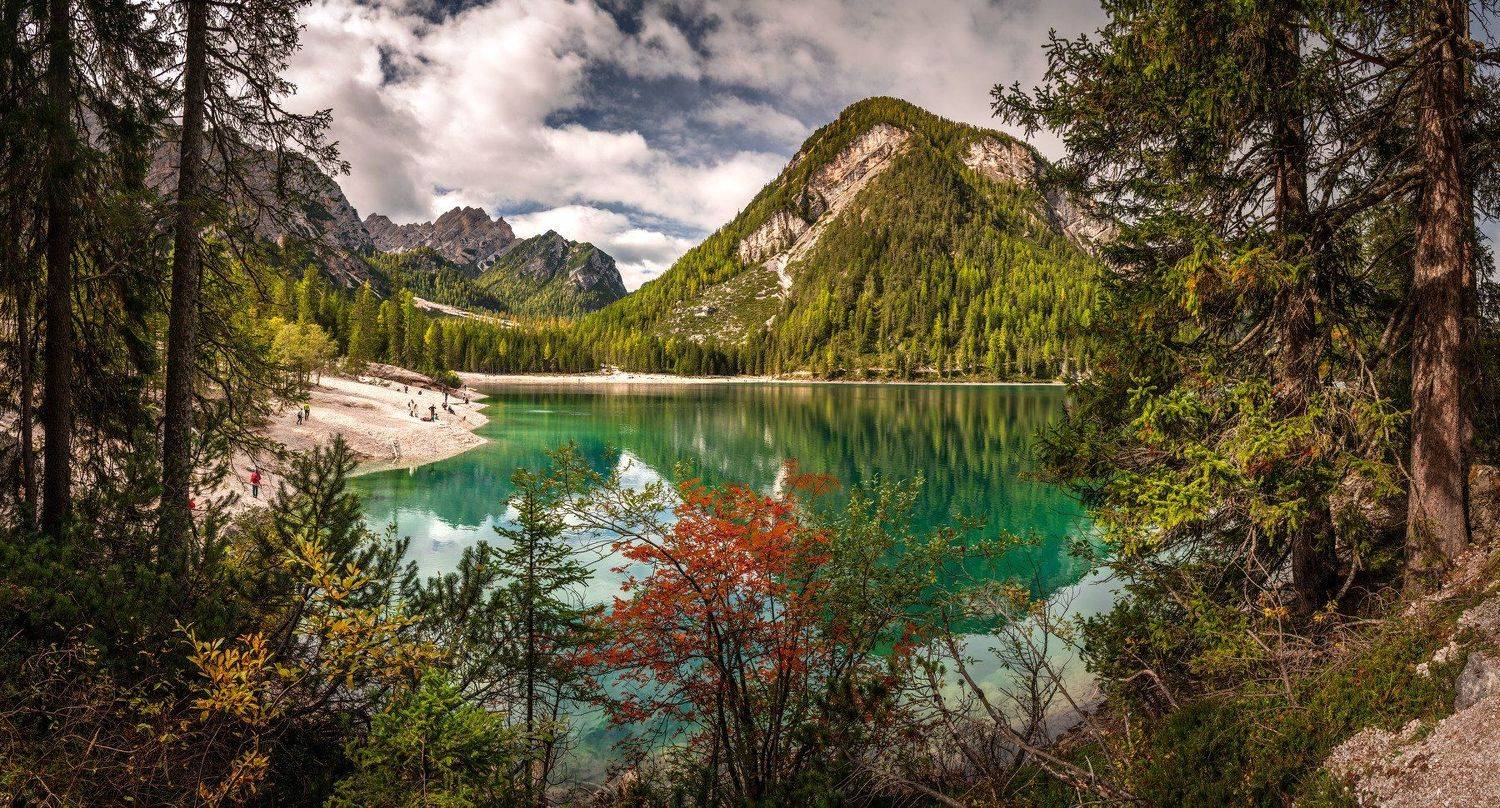 , Евгений Мерсон